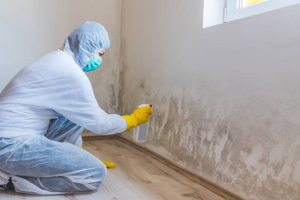 Professional mold removal team in Marsteller